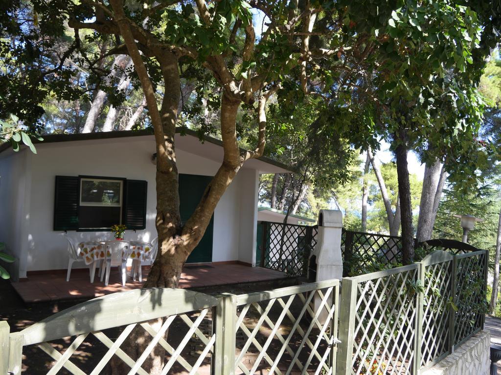Camping Villaggio Internazionale 圣梅纳伊欧 客房 照片