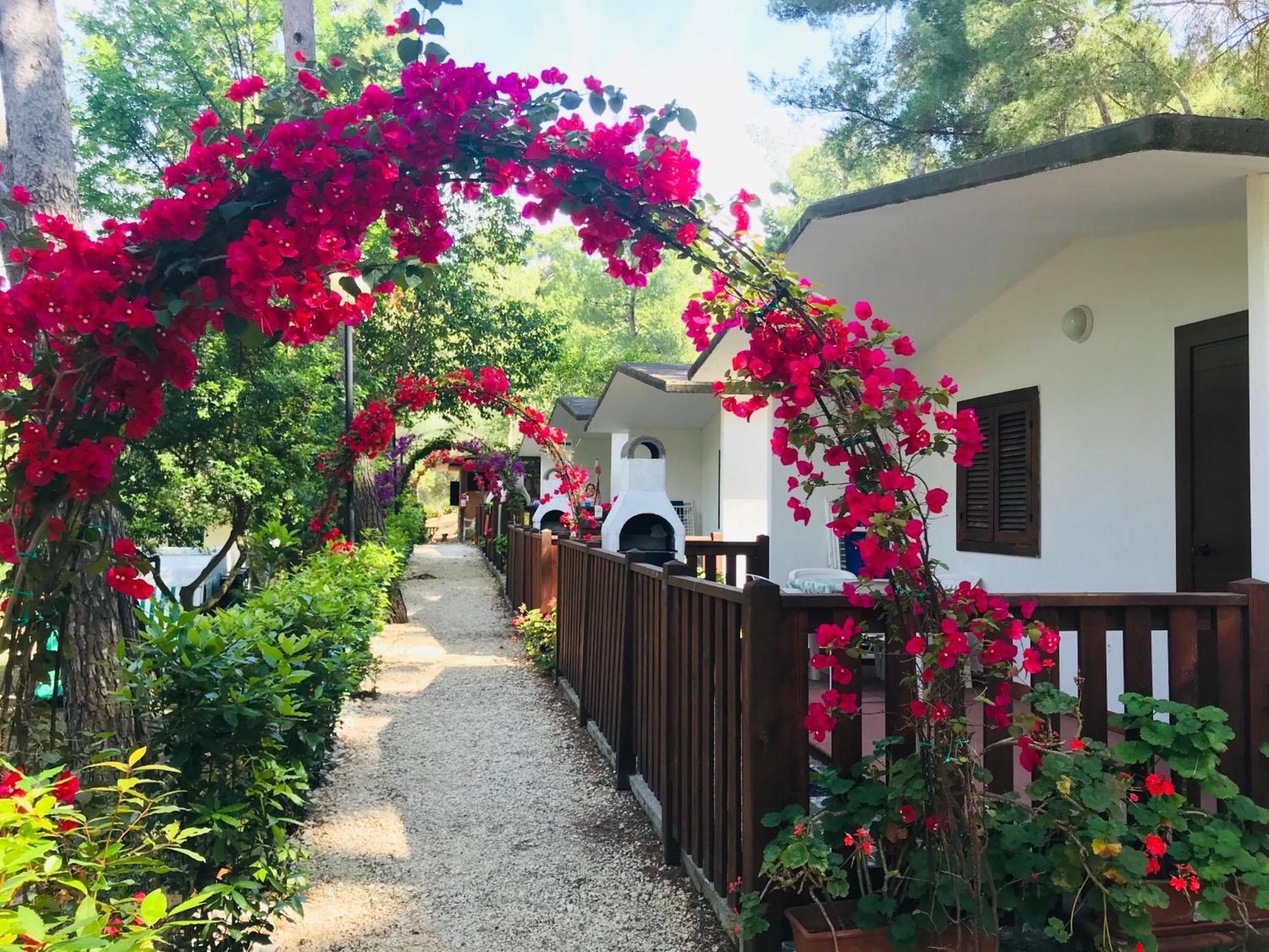 Camping Villaggio Internazionale 圣梅纳伊欧 外观 照片