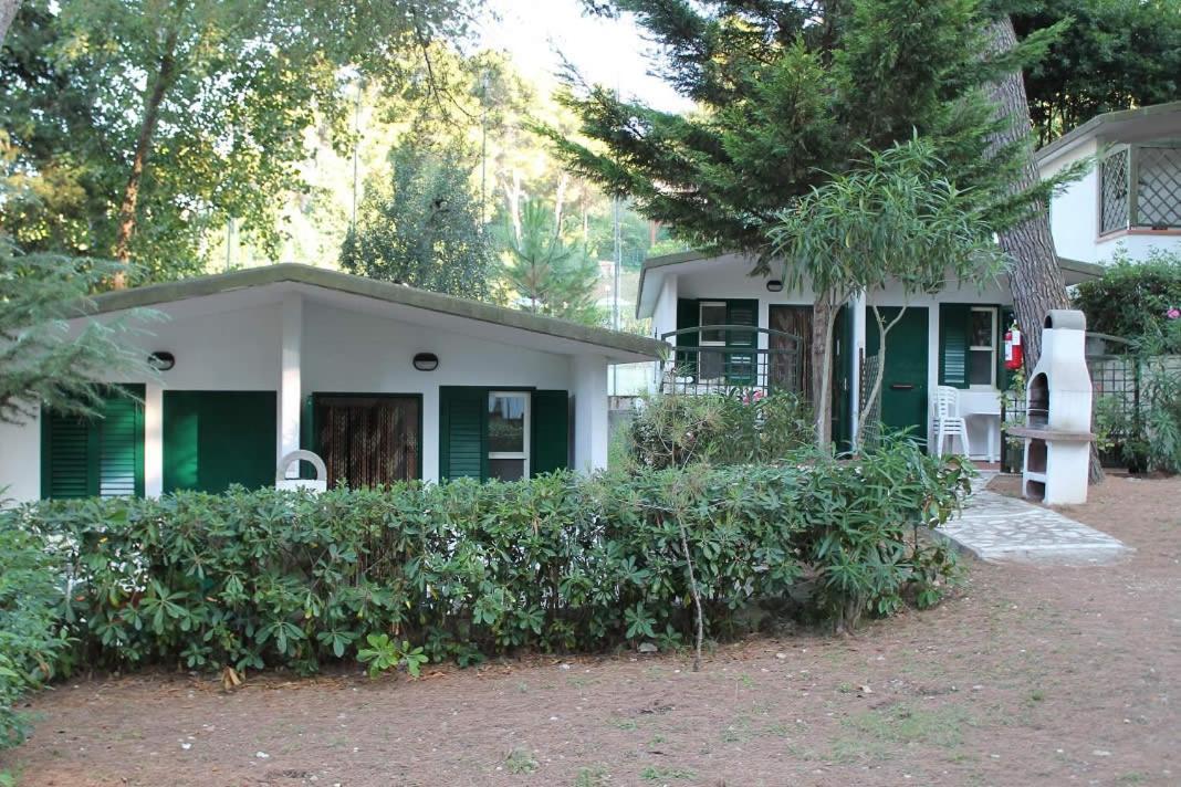 Camping Villaggio Internazionale 圣梅纳伊欧 外观 照片