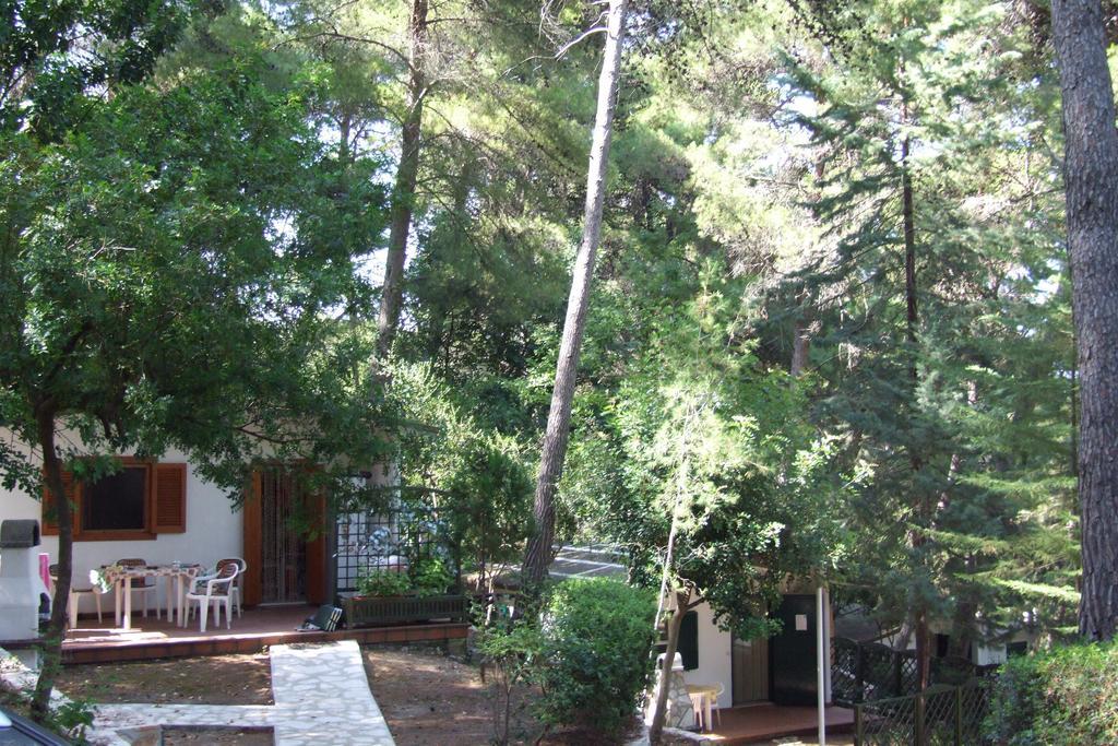 Camping Villaggio Internazionale 圣梅纳伊欧 客房 照片