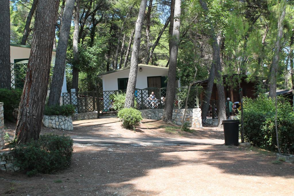 Camping Villaggio Internazionale 圣梅纳伊欧 客房 照片