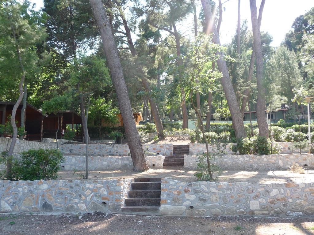 Camping Villaggio Internazionale 圣梅纳伊欧 外观 照片