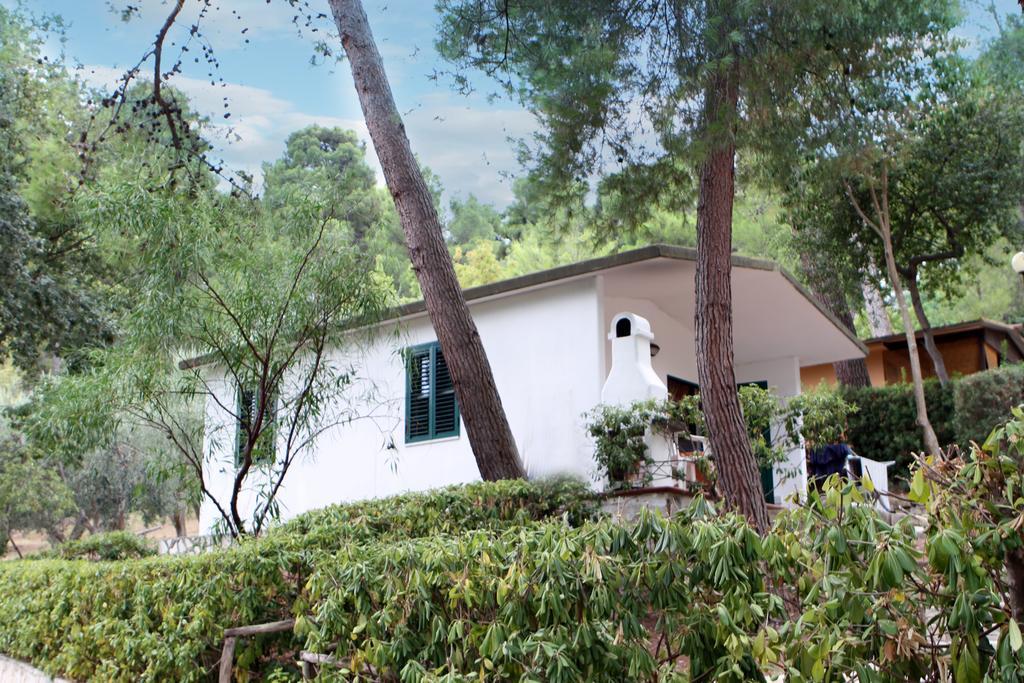Camping Villaggio Internazionale 圣梅纳伊欧 外观 照片